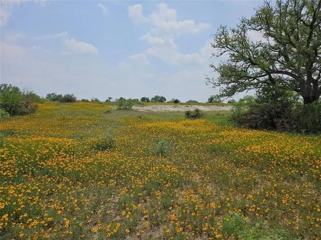 $744,500 | Tbd Starks Road, Mason, TX 76856