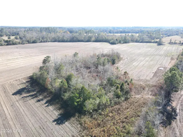 $157,900 | 0 Rob Forehand Road, Bonifay, FL 32425