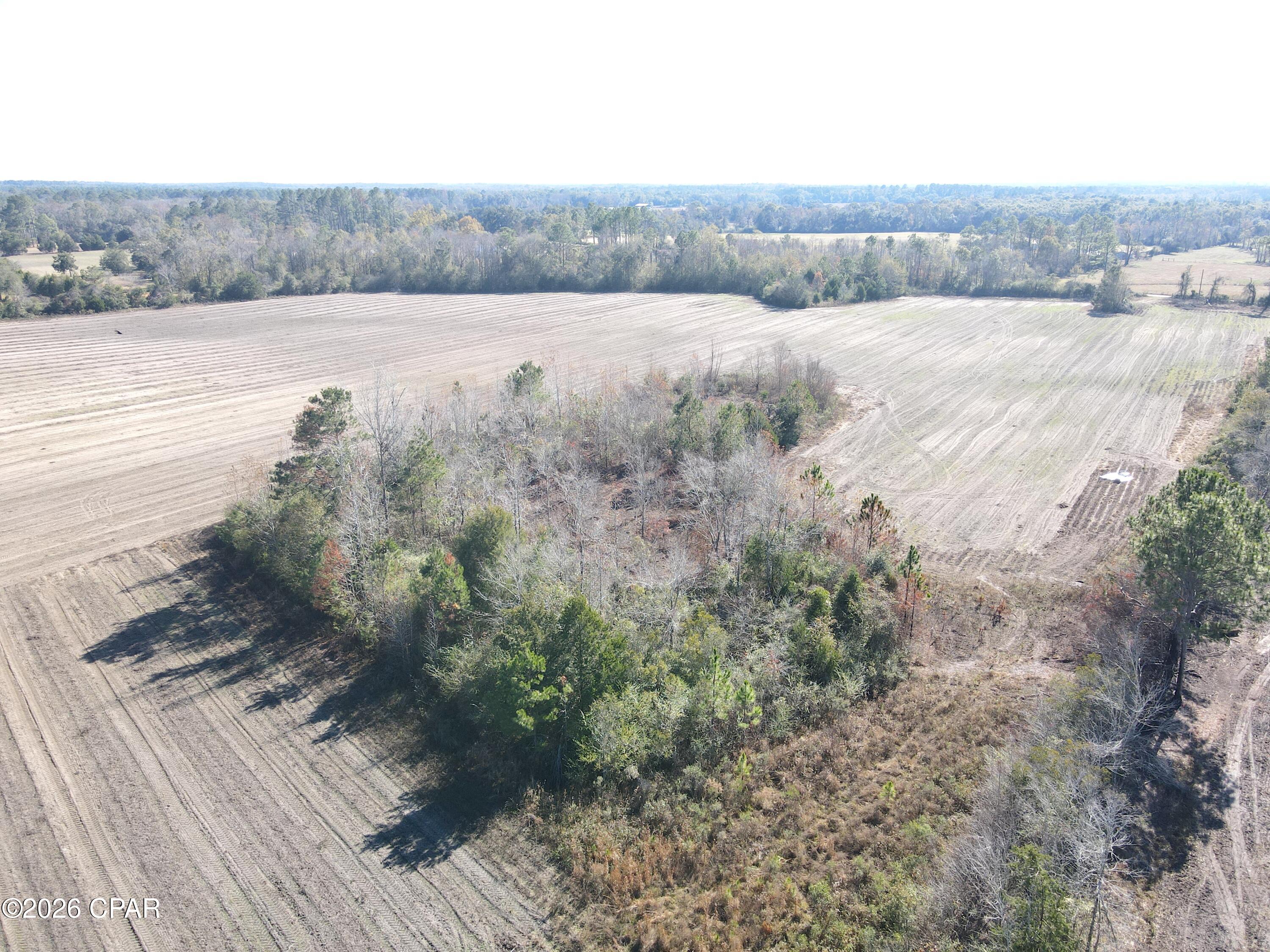 0 Rob Forehand Road Bonifay, FL 32425 - Photo 11 of 16