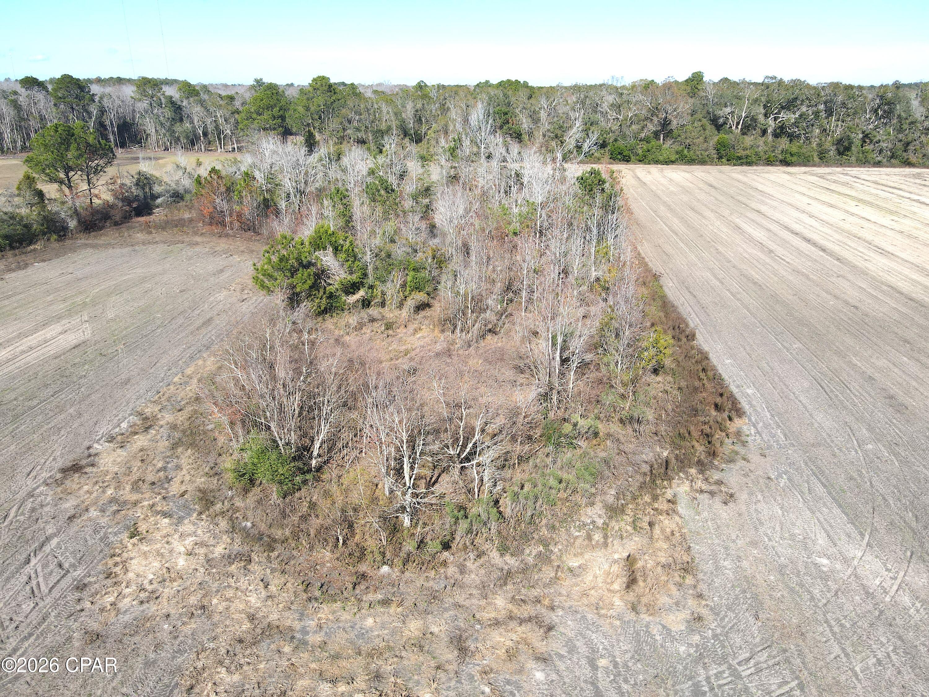 0 Rob Forehand Road Bonifay, FL 32425 - Photo 12 of 16