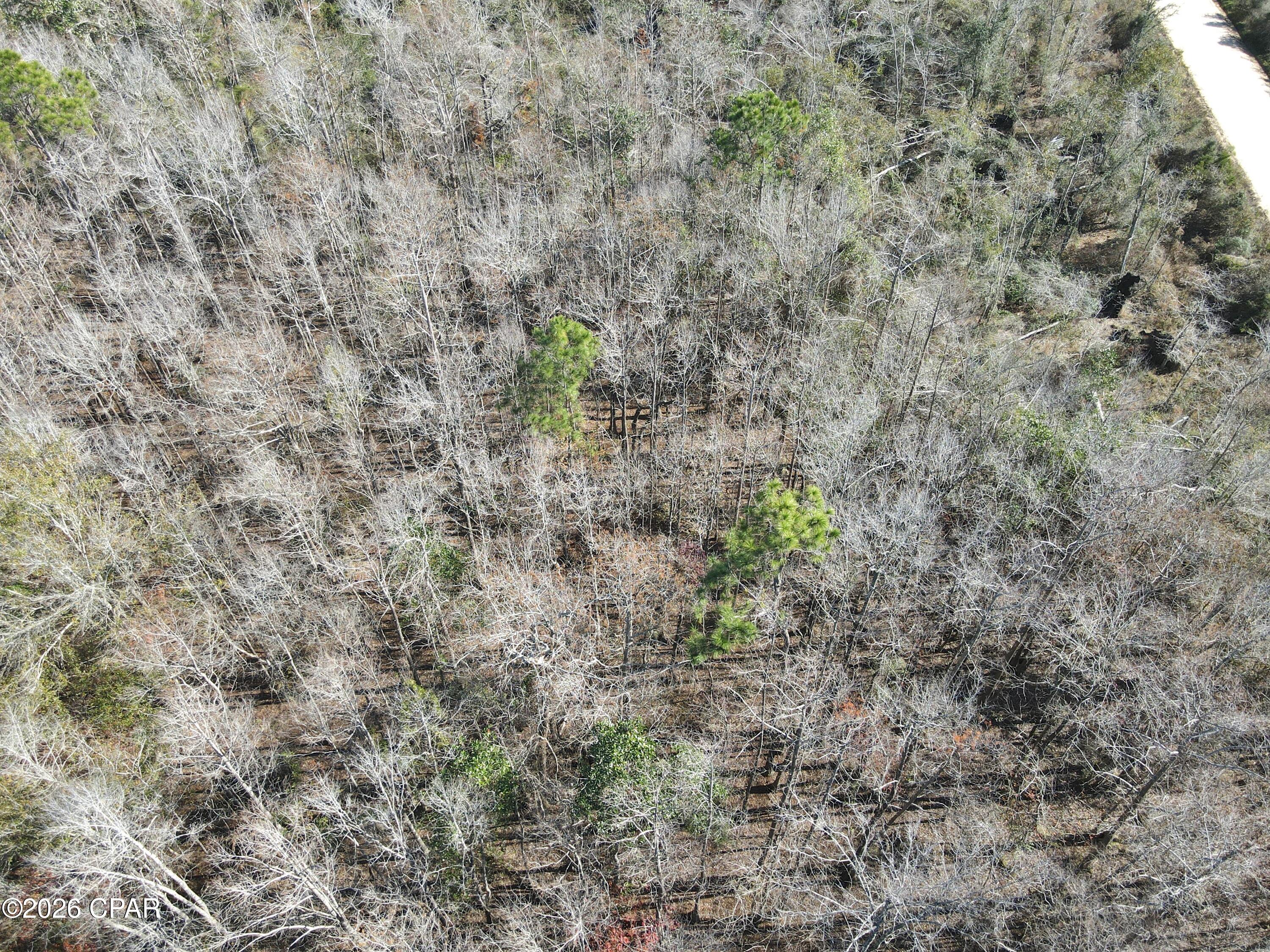 0 Rob Forehand Road Bonifay, FL 32425 - Photo 14 of 16