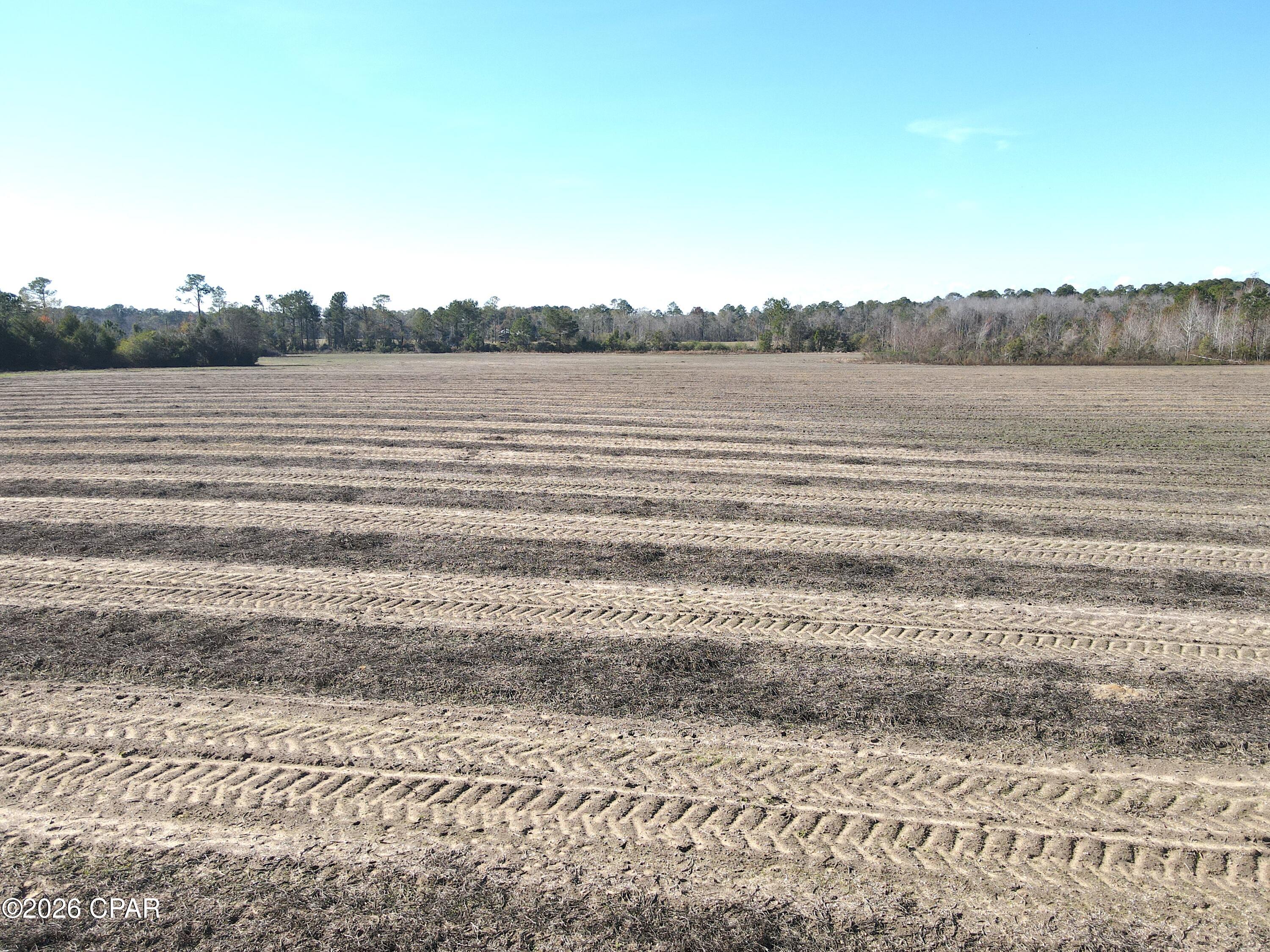 0 Rob Forehand Road Bonifay, FL 32425 - Photo 8 of 16