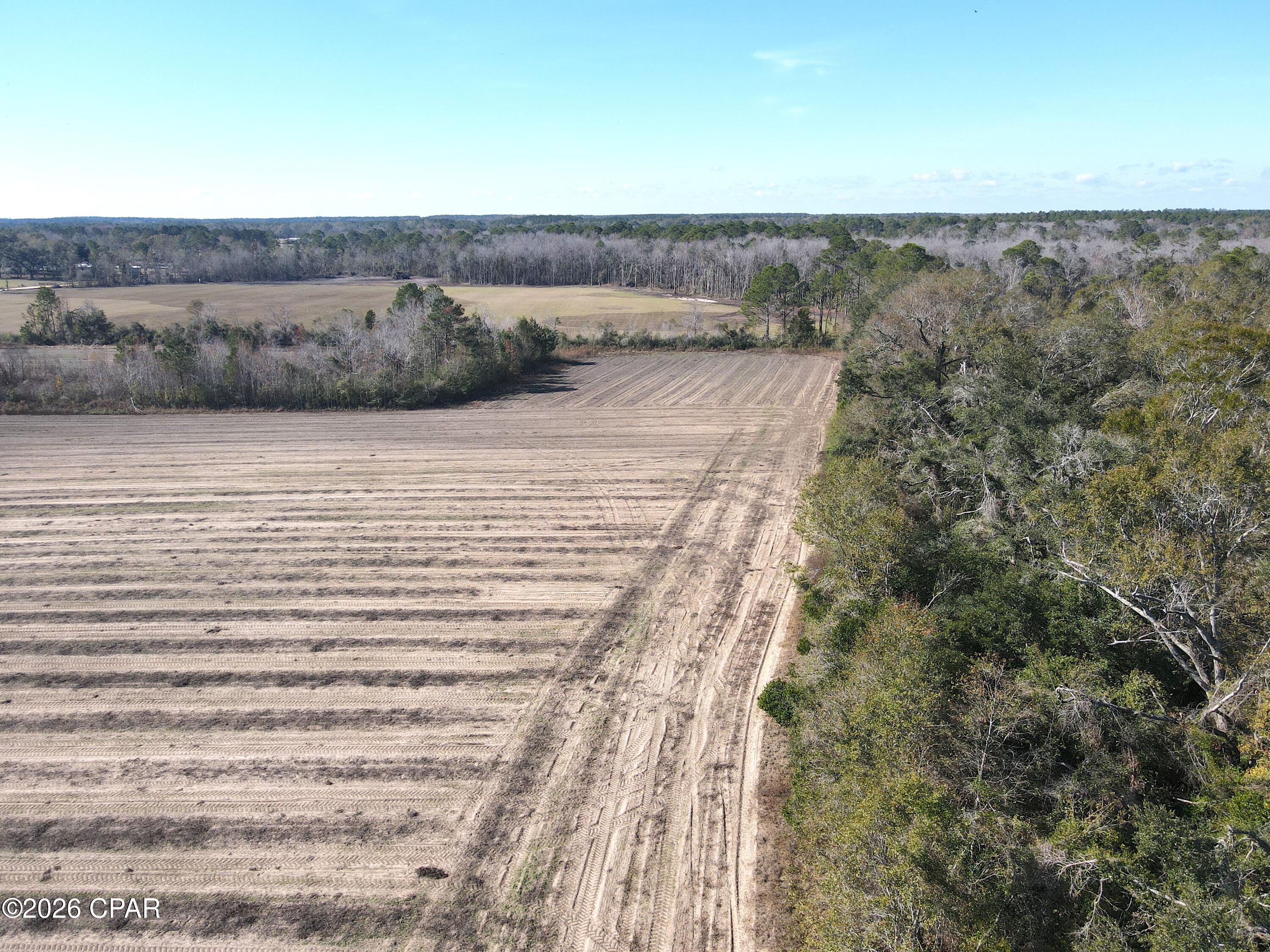 0 Rob Forehand Road Bonifay, FL 32425 - Photo 9 of 16
