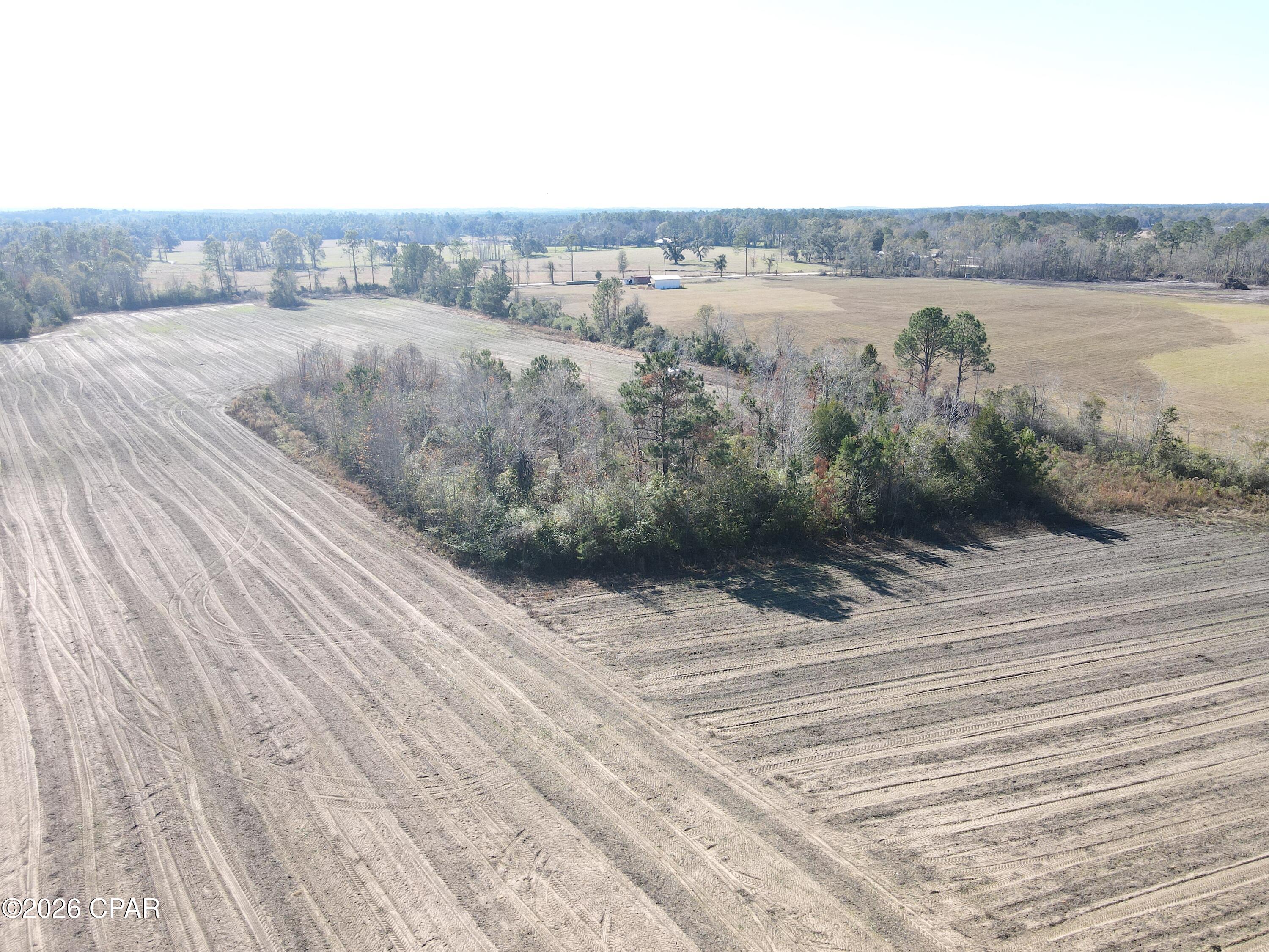 0 Rob Forehand Road Bonifay, FL 32425 - Photo 10 of 16