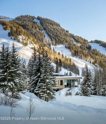 $35,000,000 | 296 Glen Dee Road, Aspen, CO 81611