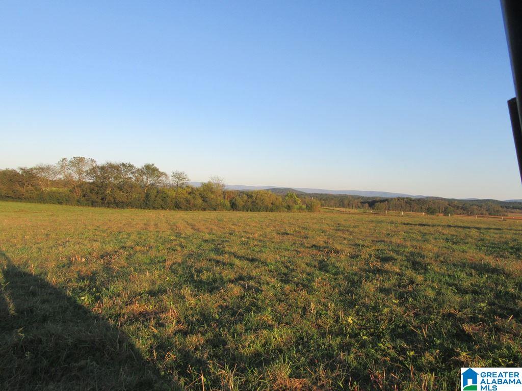 0 Eastaboga Road, Unit 1 Talladega, AL 35160 - Photo 17 of 30
