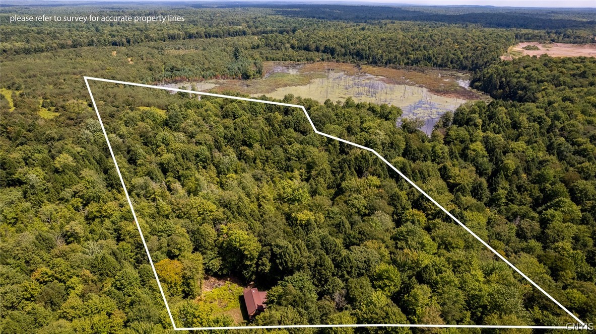 87 Tamblin Rdg Trail Constantia, NY 13028 - Photo 12 of 37