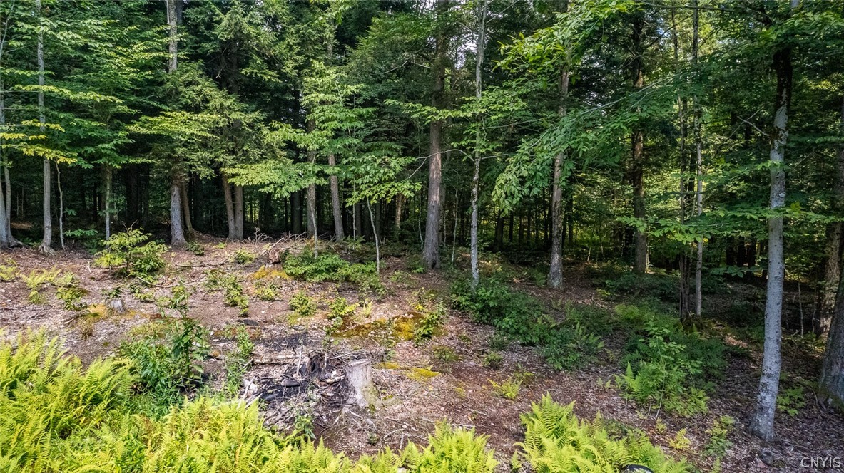 87 Tamblin Rdg Trail Constantia, NY 13028 - Photo 36 of 37