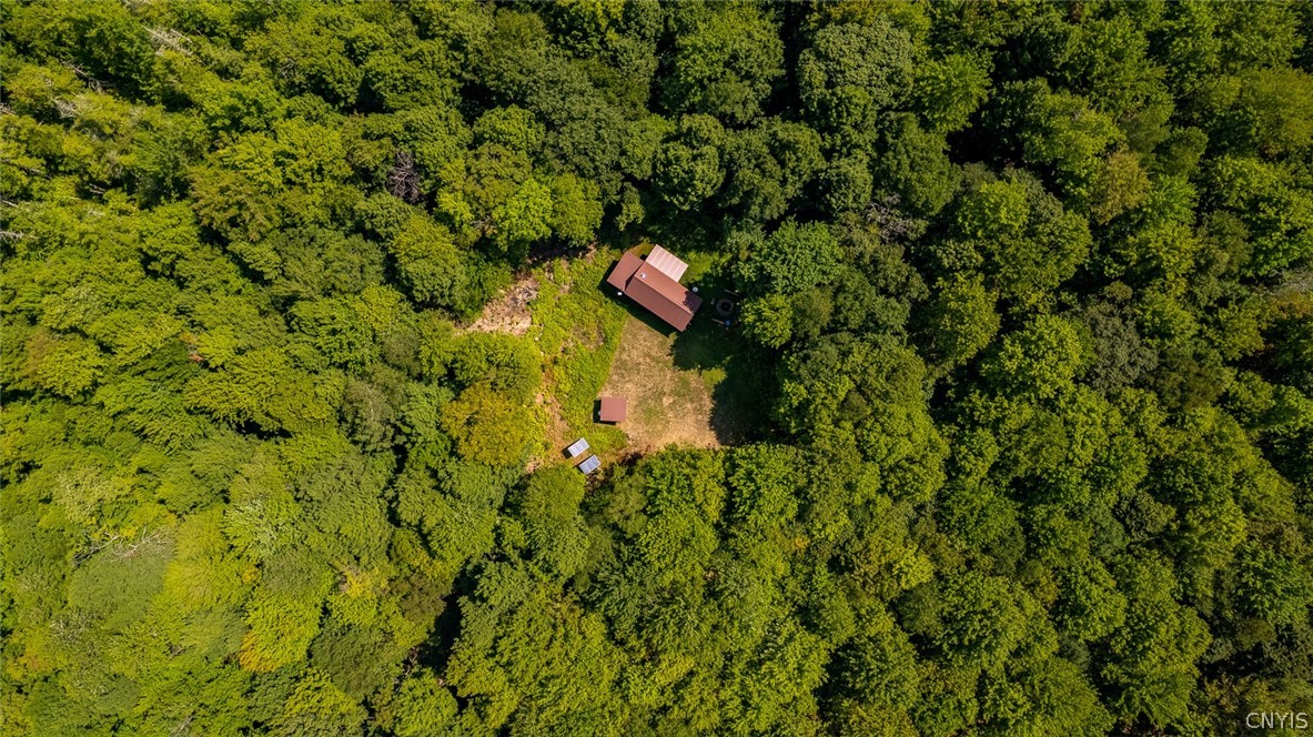 87 Tamblin Rdg Trail Constantia, NY 13028 - Photo 10 of 37