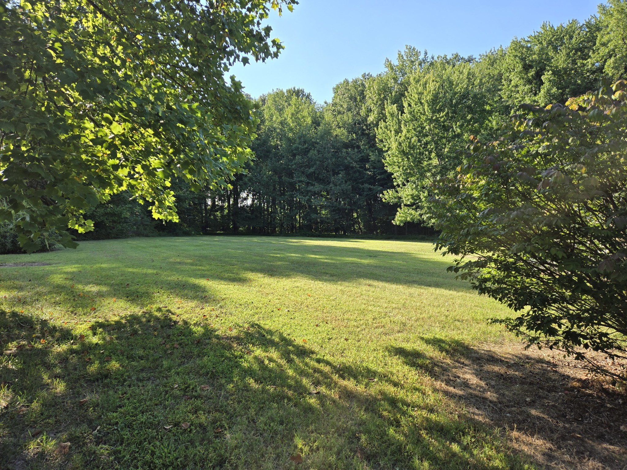 2550 Friendship Road Cross Plains, TN 37049 - Photo 2 of 4 a view of a big yard