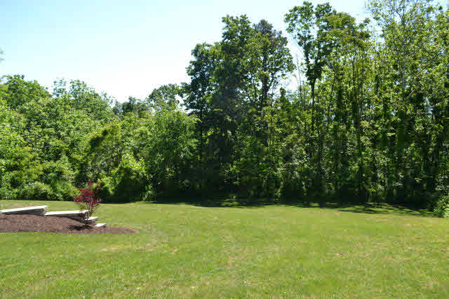 178 Ridgetop Drive Weyers Cave, VA 24486 - Photo 4 of 18 Gallery Image 4