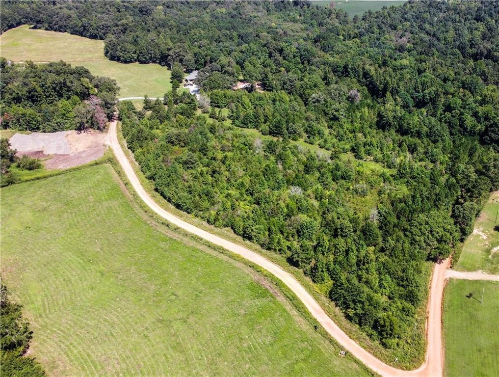 a view of a yard with plants