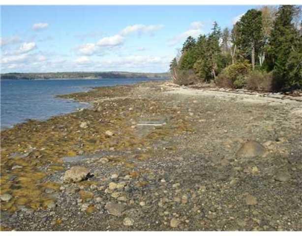 1459 Newbury Neck Road Surry, ME 04684 - Photo 12 of 18 Photo
