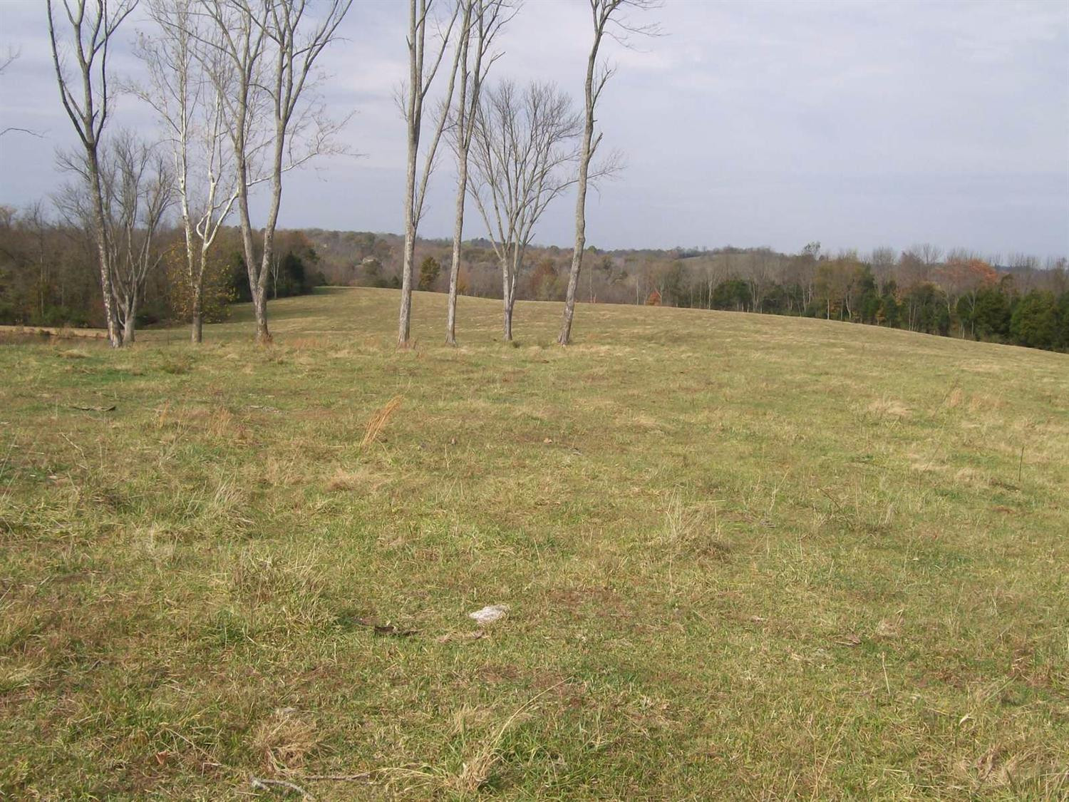 0 High Bridge Road Wilmore, KY 40390 - Photo 15 of 31 Photo 15