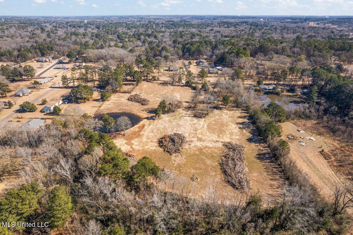 225 Burnham Road Brandon, MS 39042 - Photo 6 of 8 DJI_0921