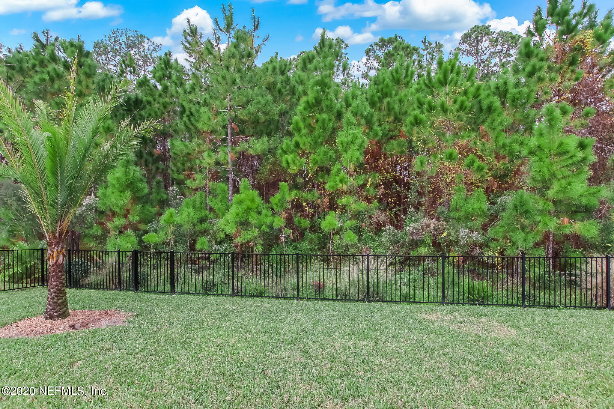 58 Antilles Road St. Augustine, FL 32092 - Photo 30 of 40 backyard preserve view
