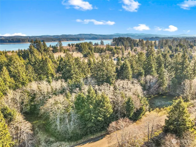 a view of a yard with plants and wooden fence