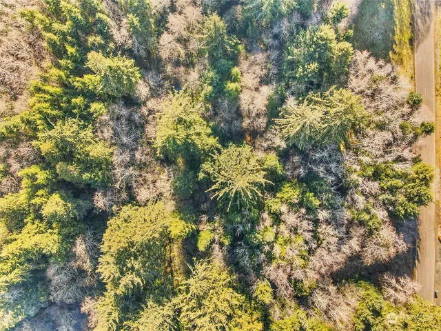 a view of a yard with a trees