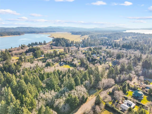 a view of a city with lots of trees