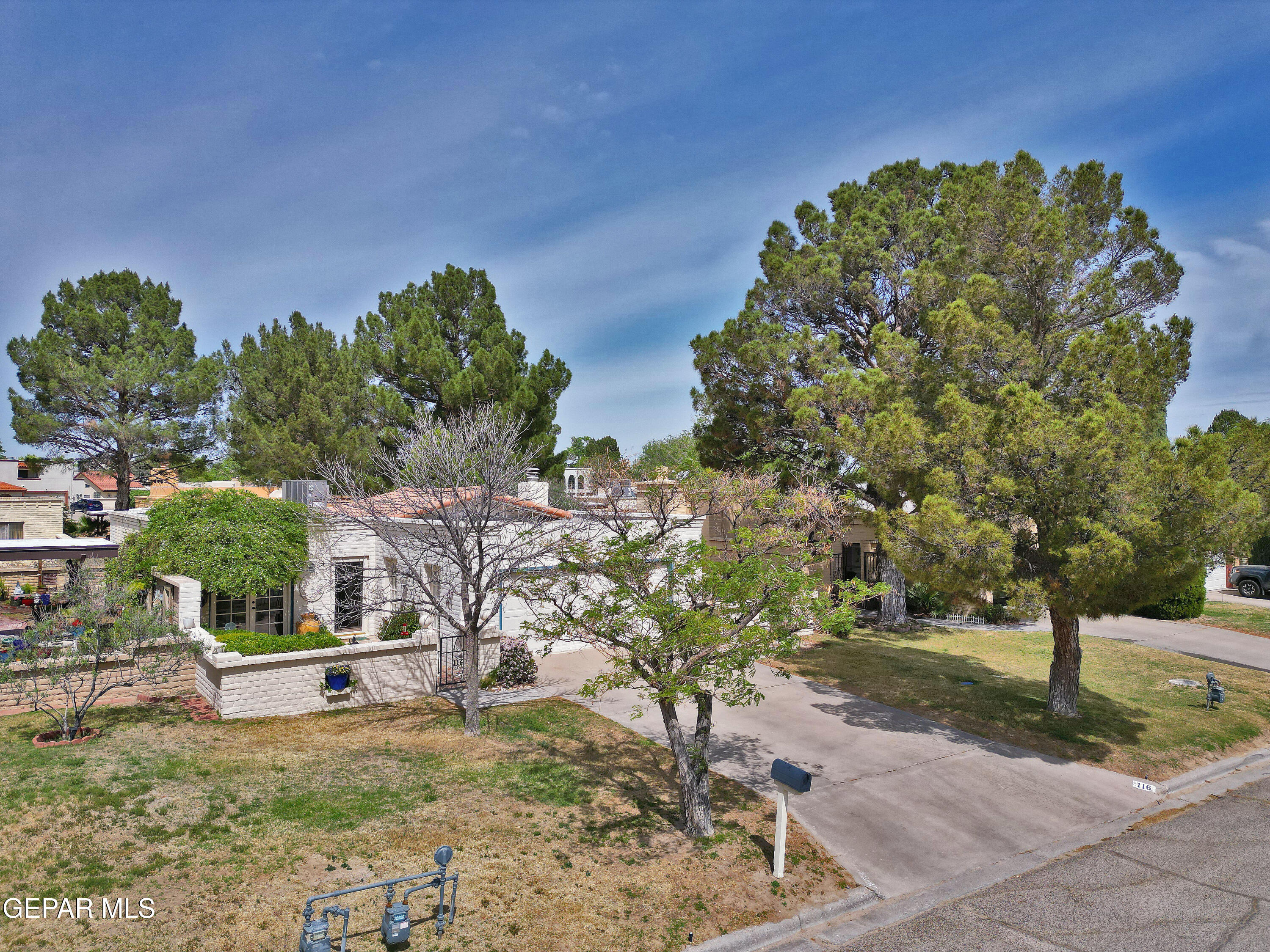 116 North Trevino Road Santa Teresa, NM 88008 - Photo 2 of 77 a garden view