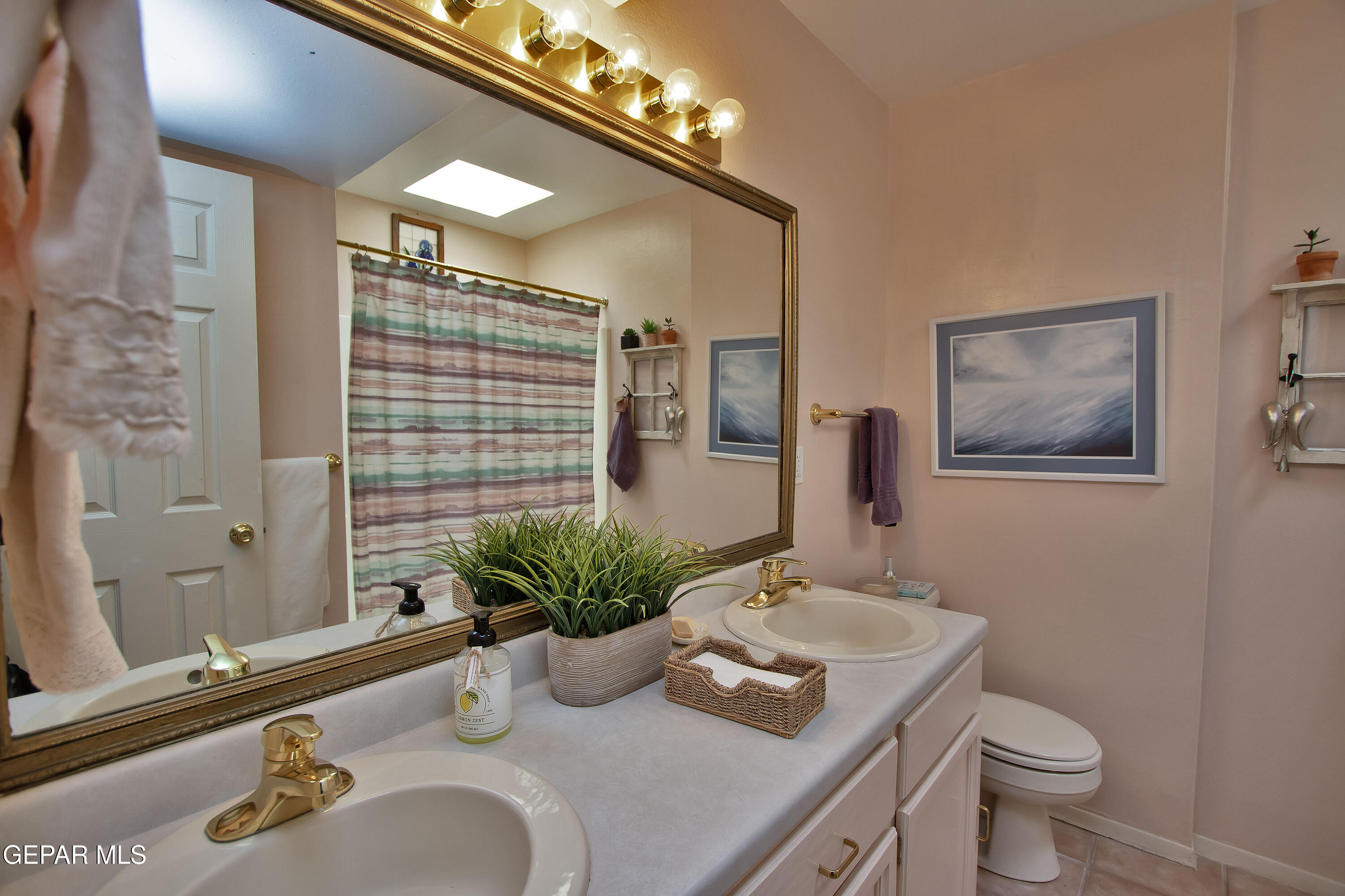 116 North Trevino Road Santa Teresa, NM 88008 - Photo 49 of 77 a bathroom with a sink a toilet and mirror