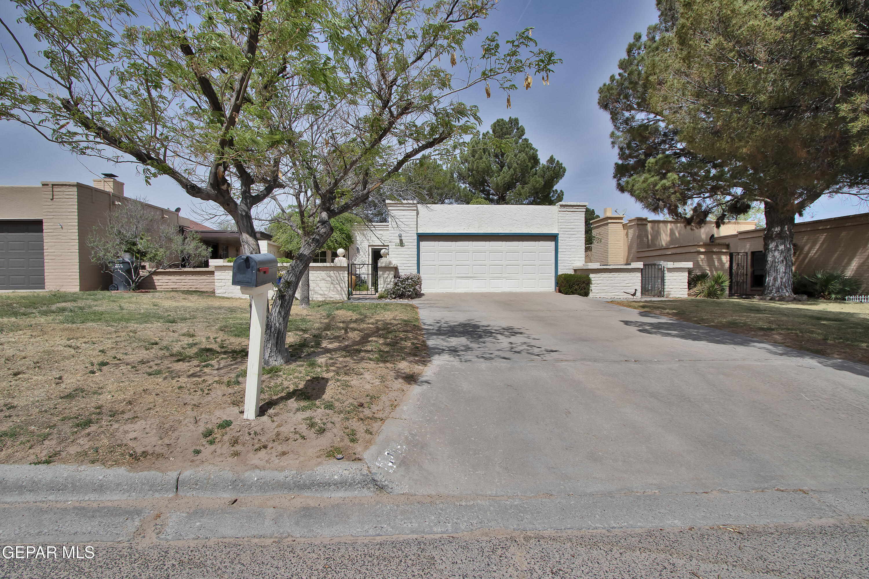 116 North Trevino Road Santa Teresa, NM 88008 - Photo 5 of 77 a view of a yard with a tree