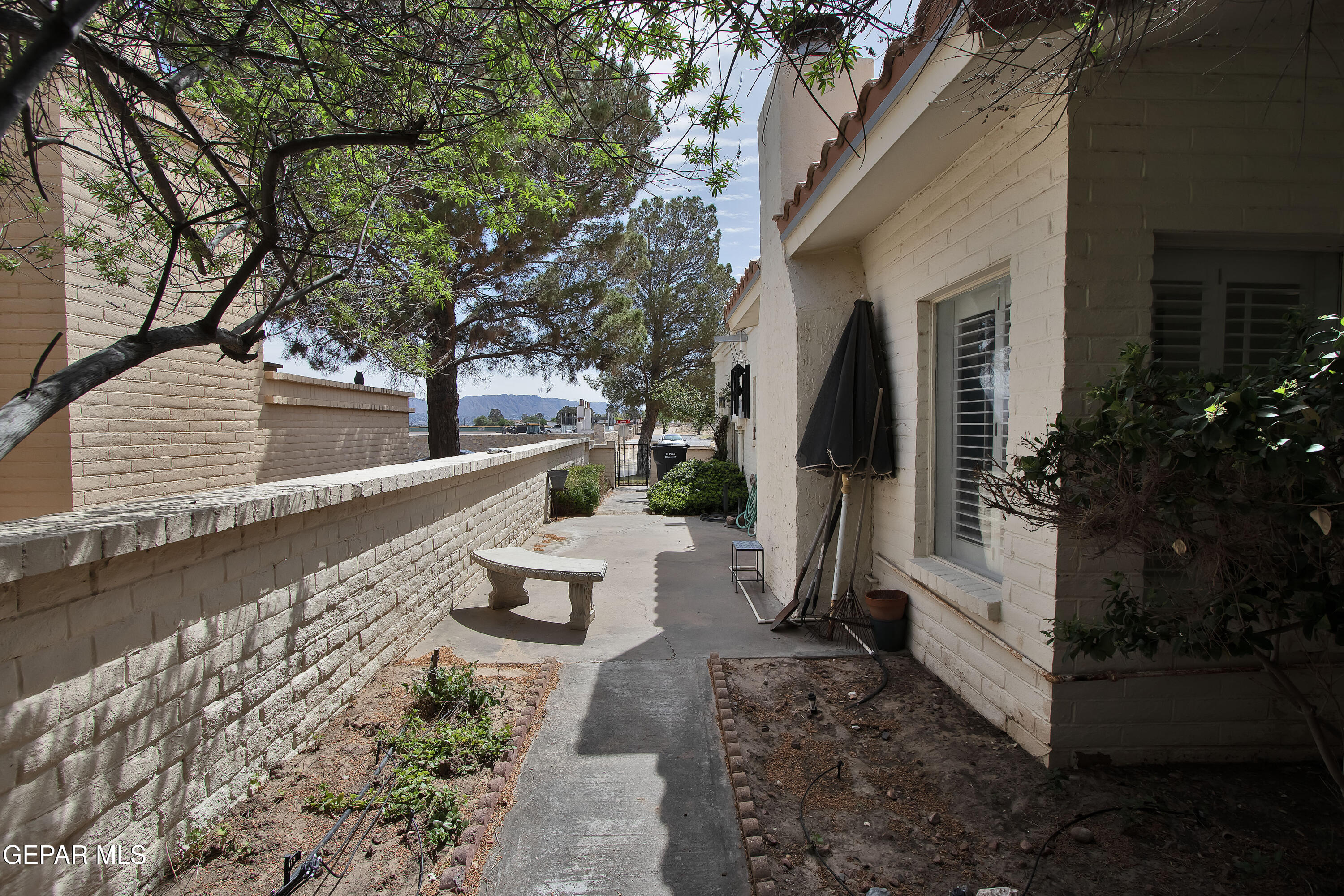 116 North Trevino Road Santa Teresa, NM 88008 - Photo 69 of 77 a view of a patio with couches plants and large trees