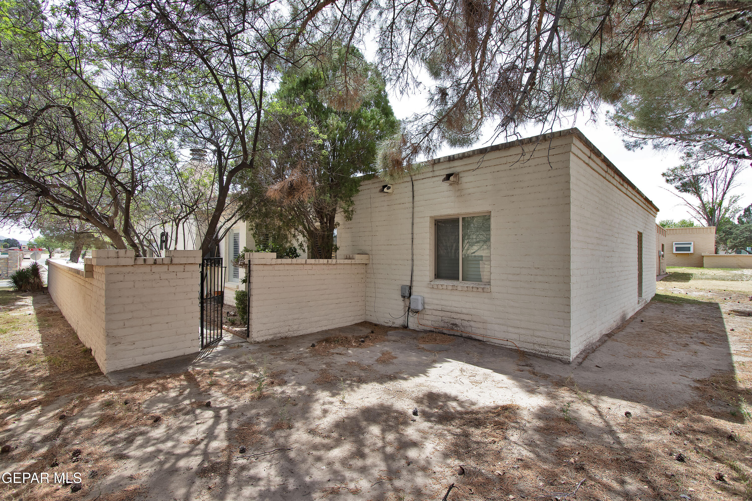 116 North Trevino Road Santa Teresa, NM 88008 - Photo 71 of 77 Yard