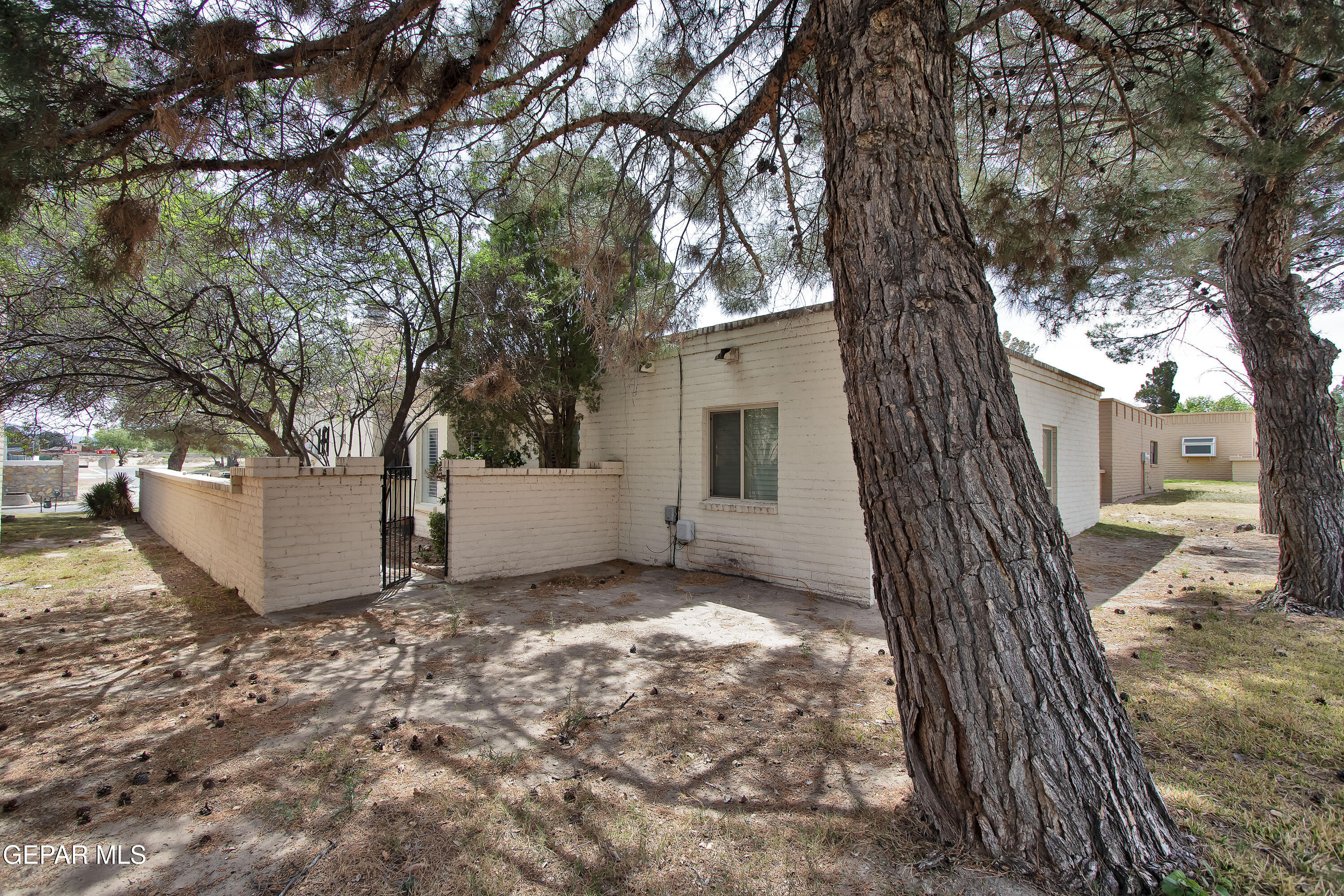 116 North Trevino Road Santa Teresa, NM 88008 - Photo 72 of 77 a view of a house with a tree and a yard