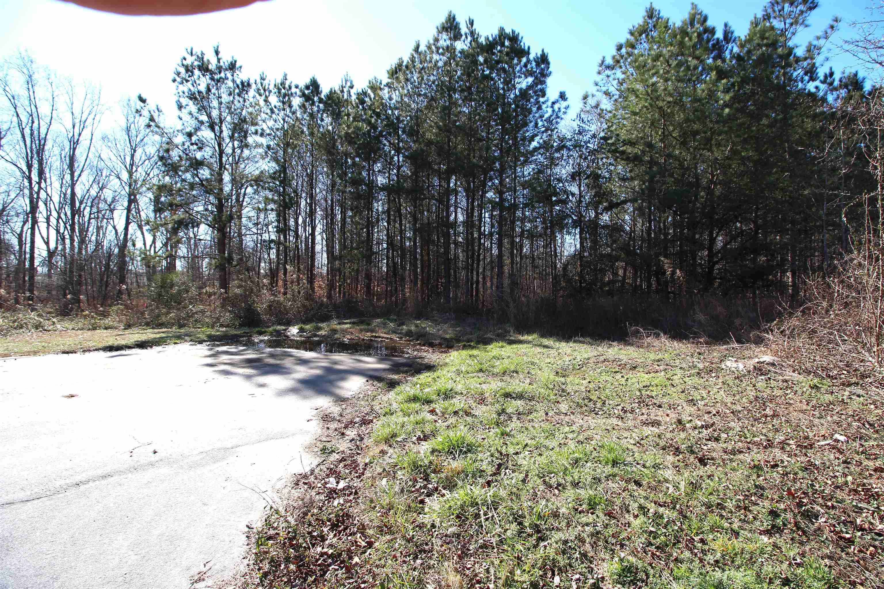 554 Vault Way Roebuck, SC 29376 - Photo 3 of 6