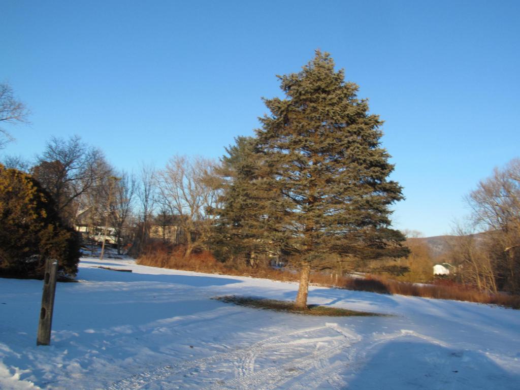 176 Forest Street Rutland, VT 05701 - Photo 6 of 13