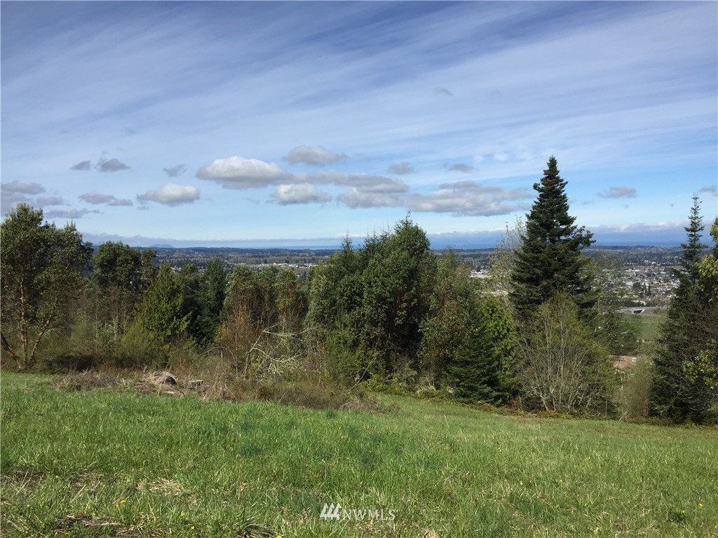 66 Ravens Ridge Road Sequim, WA 98382 - Photo 11 of 33 Gallery Image 11