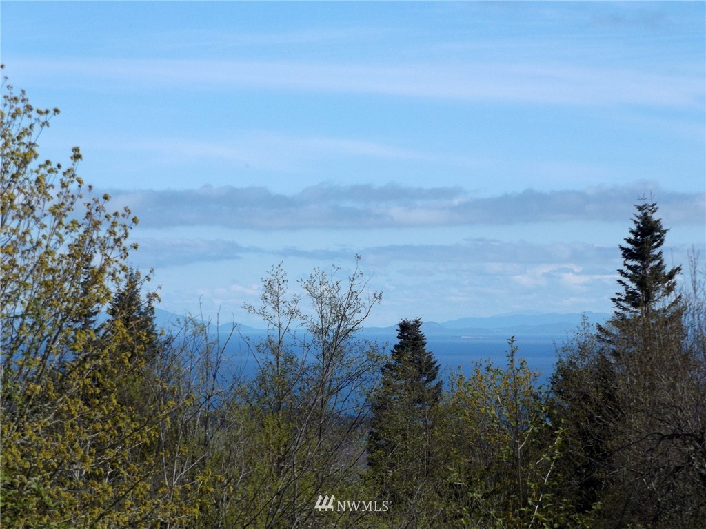 66 Ravens Ridge Road Sequim, WA 98382 - Photo 20 of 33 Gallery Image 20