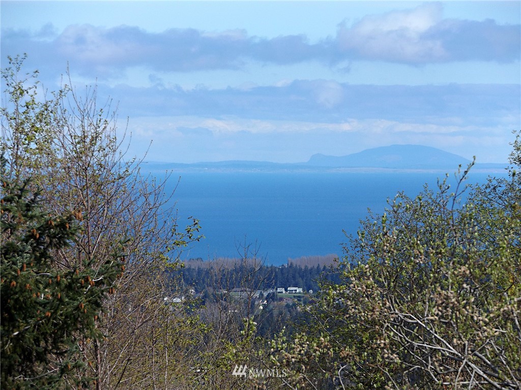 66 Ravens Ridge Road Sequim, WA 98382 - Photo 23 of 33 Gallery Image 23
