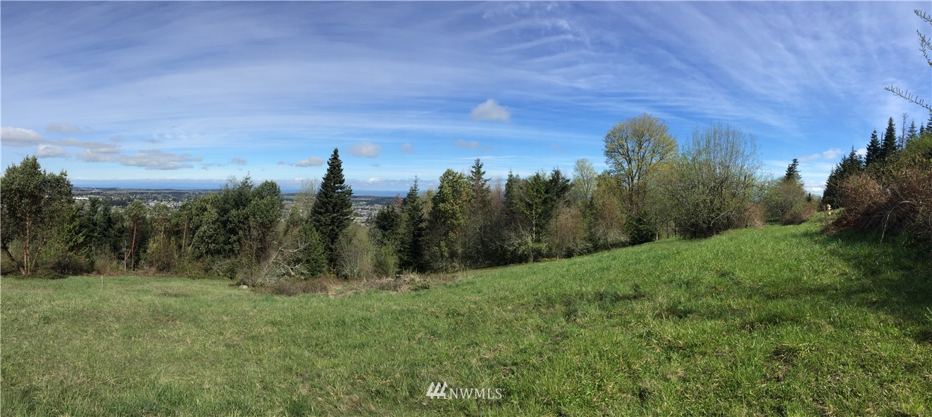 66 Ravens Ridge Road Sequim, WA 98382 - Photo 6 of 33 Gallery Image 6