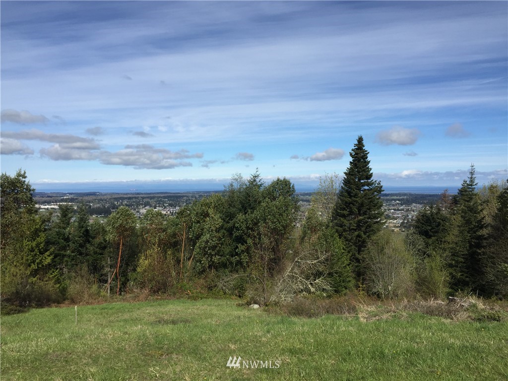 66 Ravens Ridge Road Sequim, WA 98382 - Photo 10 of 33 Gallery Image 10