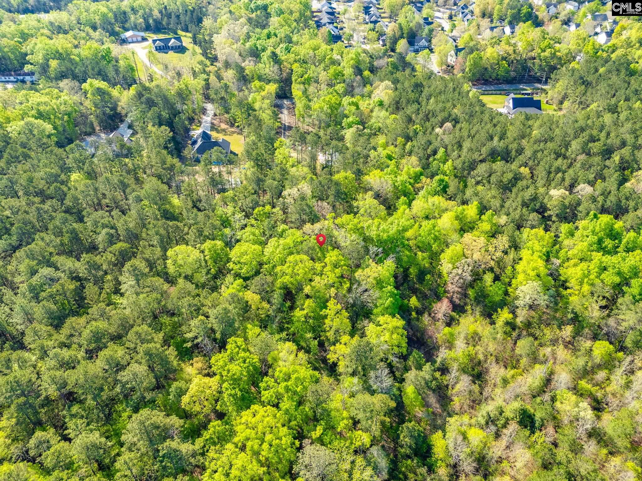 1103 Hopewell Church Road Irmo, SC 29063 - Photo 4 of 7