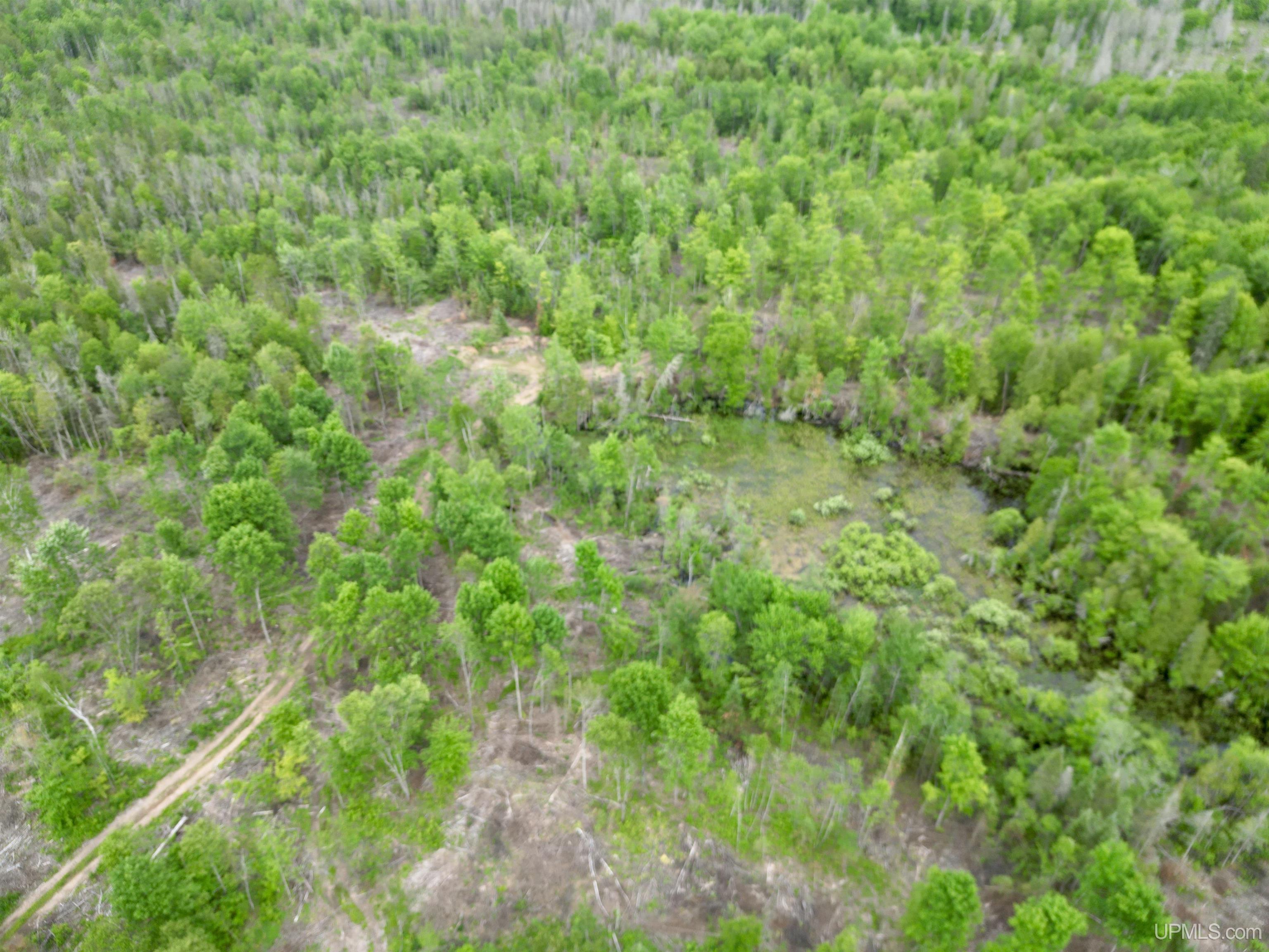 3601 Cr444 Road Rock, MI 49880 - Photo 59 of 78