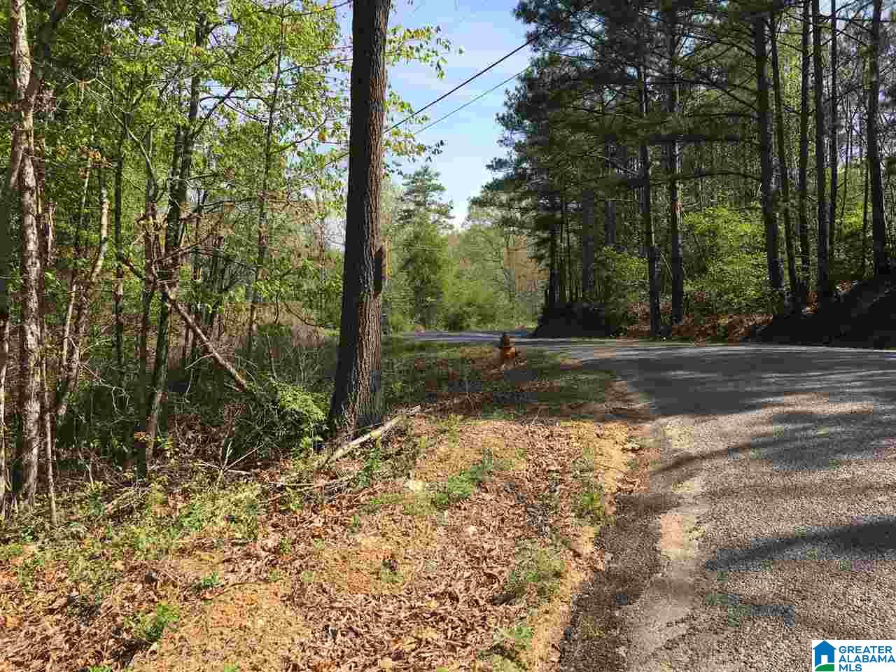 0 Isbell Road, Unit 40 Odenville, AL 35120 - Photo 3 of 13