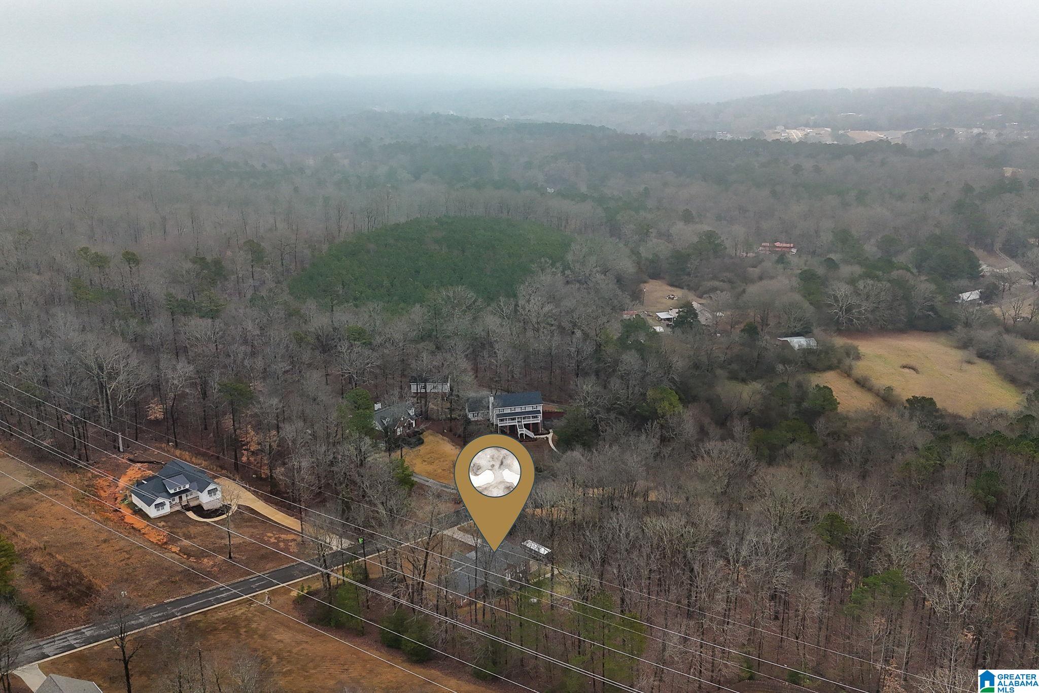 110 Heritage Place Springville, AL 35146 - Photo 48 of 49