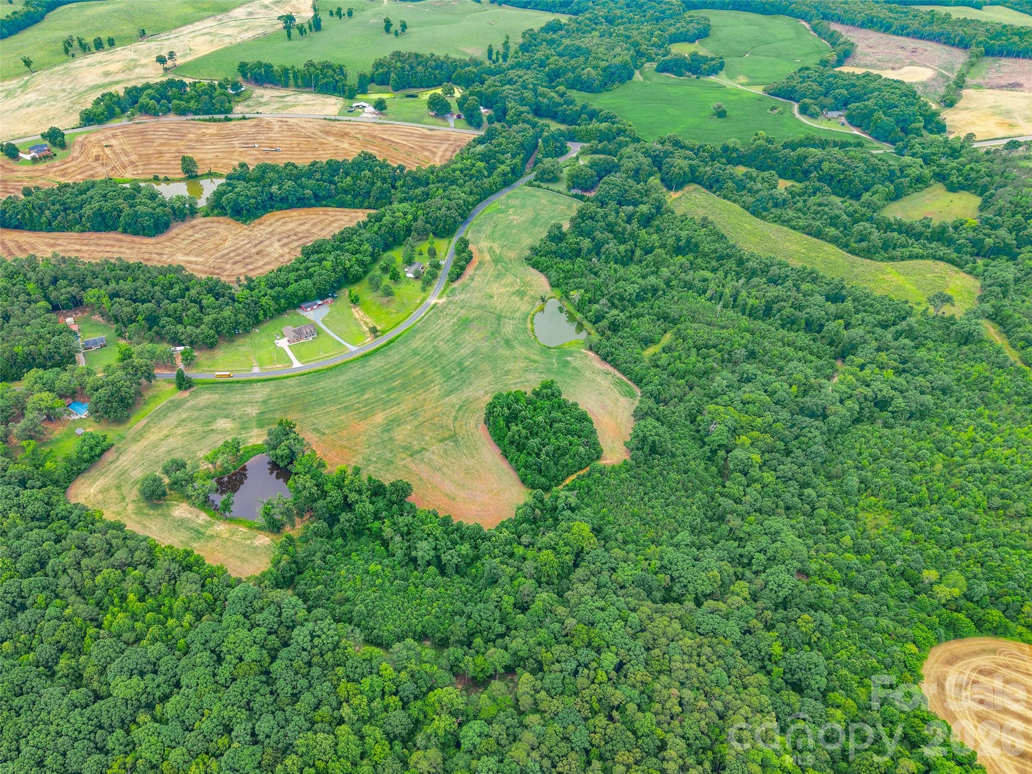 0 John Doster Road Pageland, SC 29728 - Photo 5 of 12