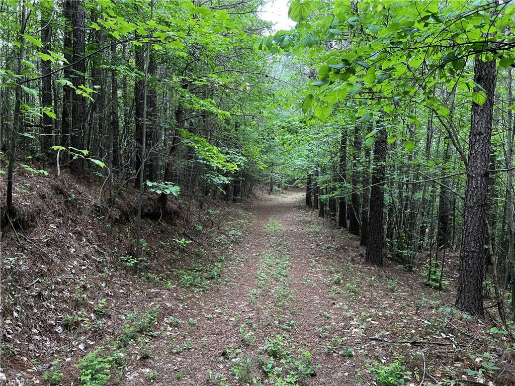 0 Marshall Ridge Road Pinnacle, NC 27043 - Photo 4 of 8