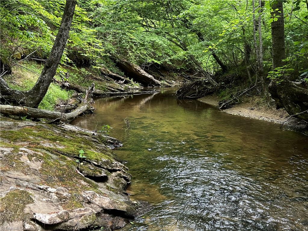 0 Marshall Ridge Road Pinnacle, NC 27043 - Photo 5 of 8