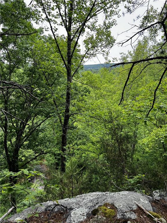 0 Marshall Ridge Road Pinnacle, NC 27043 - Photo 6 of 8