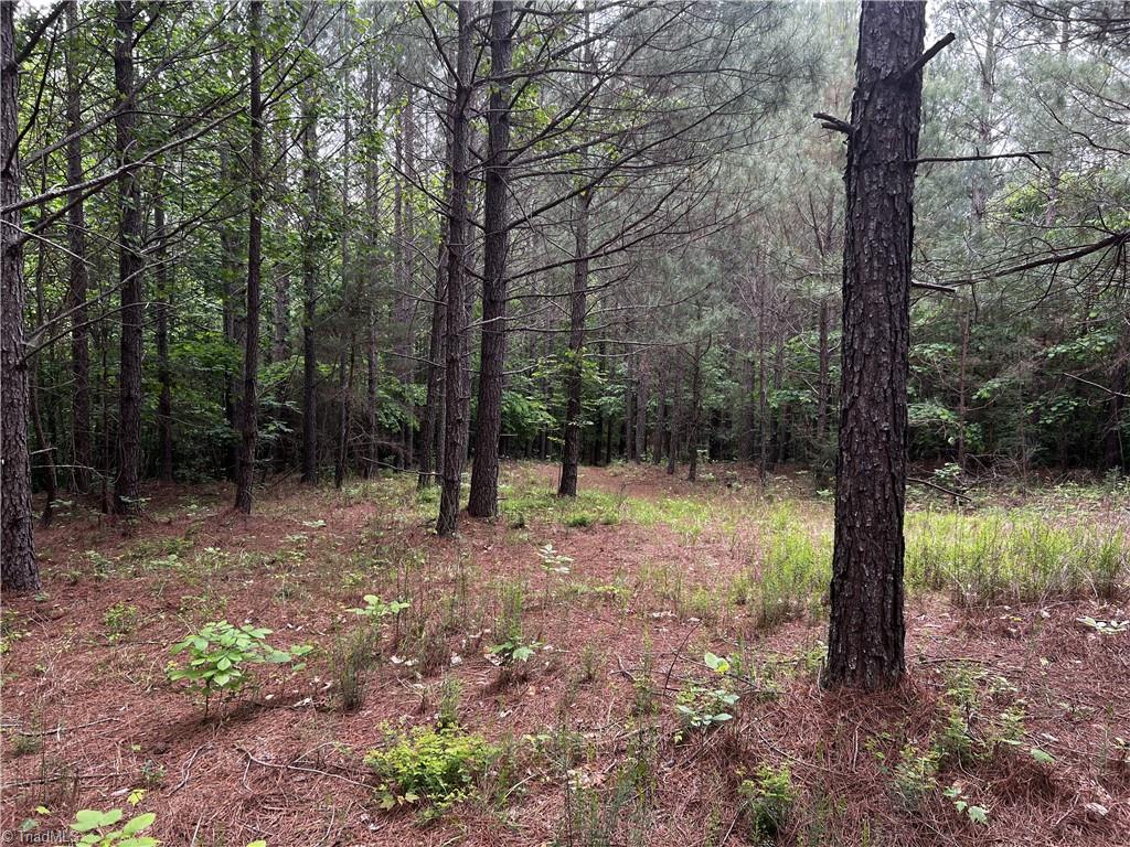 0 Marshall Ridge Road Pinnacle, NC 27043 - Photo 7 of 8