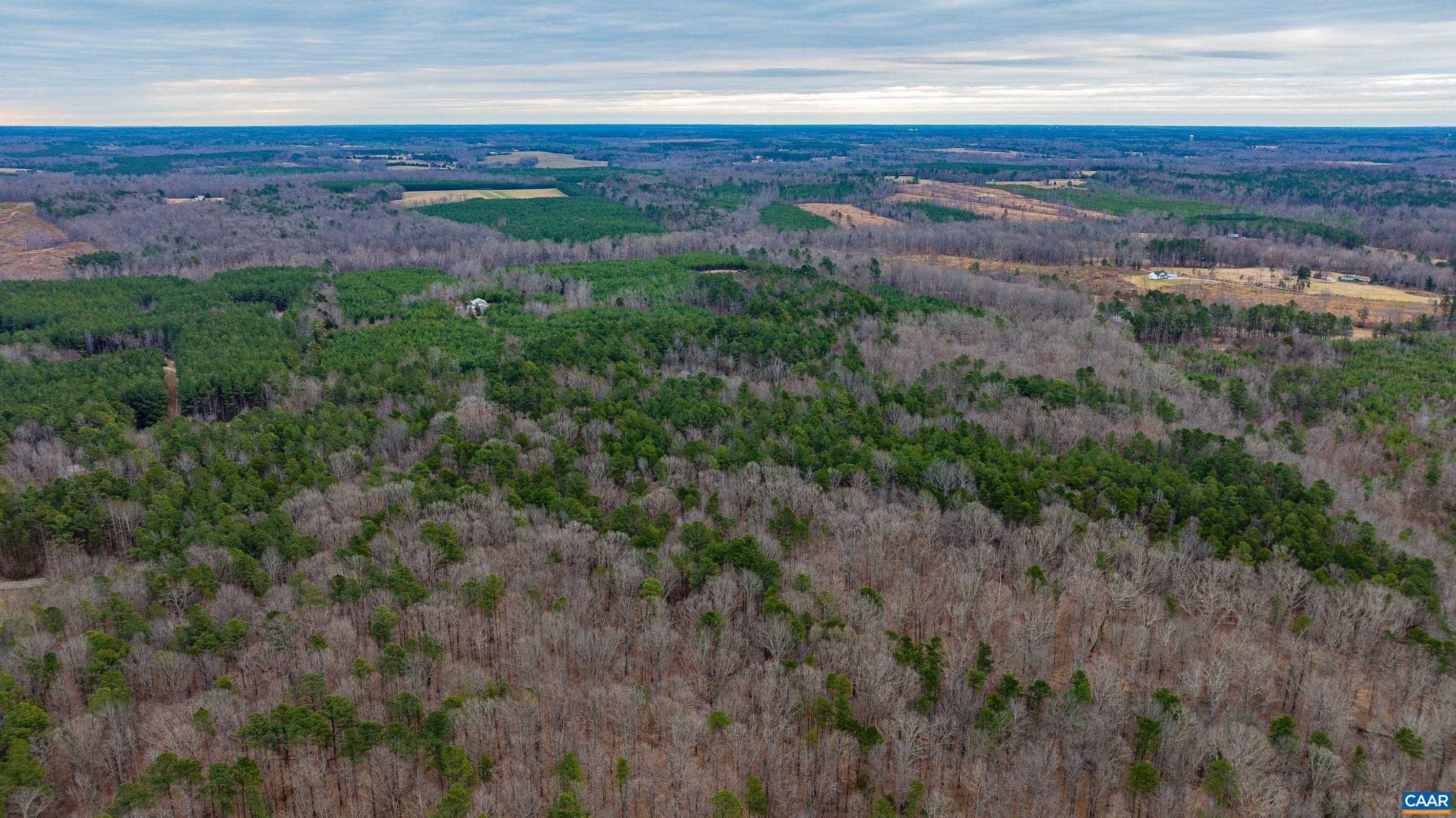 Lot 3 Piney Green Road Rice, VA 23966 - Photo 20 of 32 Gallery Image 20