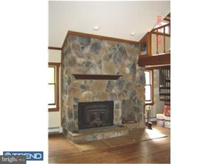 211 River Road Washington Crossing, PA 18977 - Photo 7 of 17 Fireplace