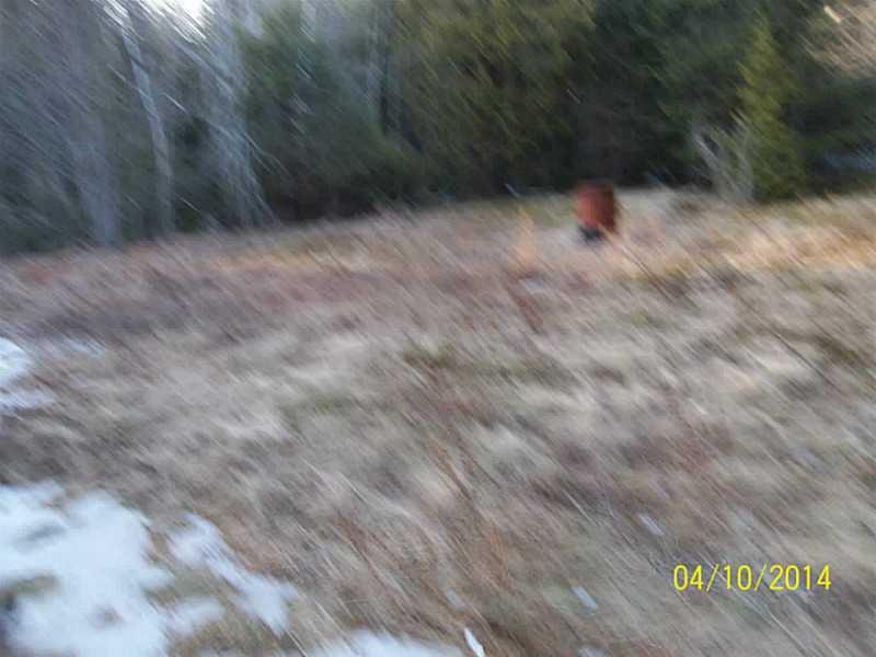 536 Indian River Road Addison, ME 04606 - Photo 11 of 11 Back Yard.