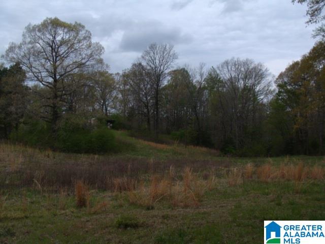 406 Caffe Ridge, Unit PARCEL Woodstock, AL 35188 - Photo 7 of 30