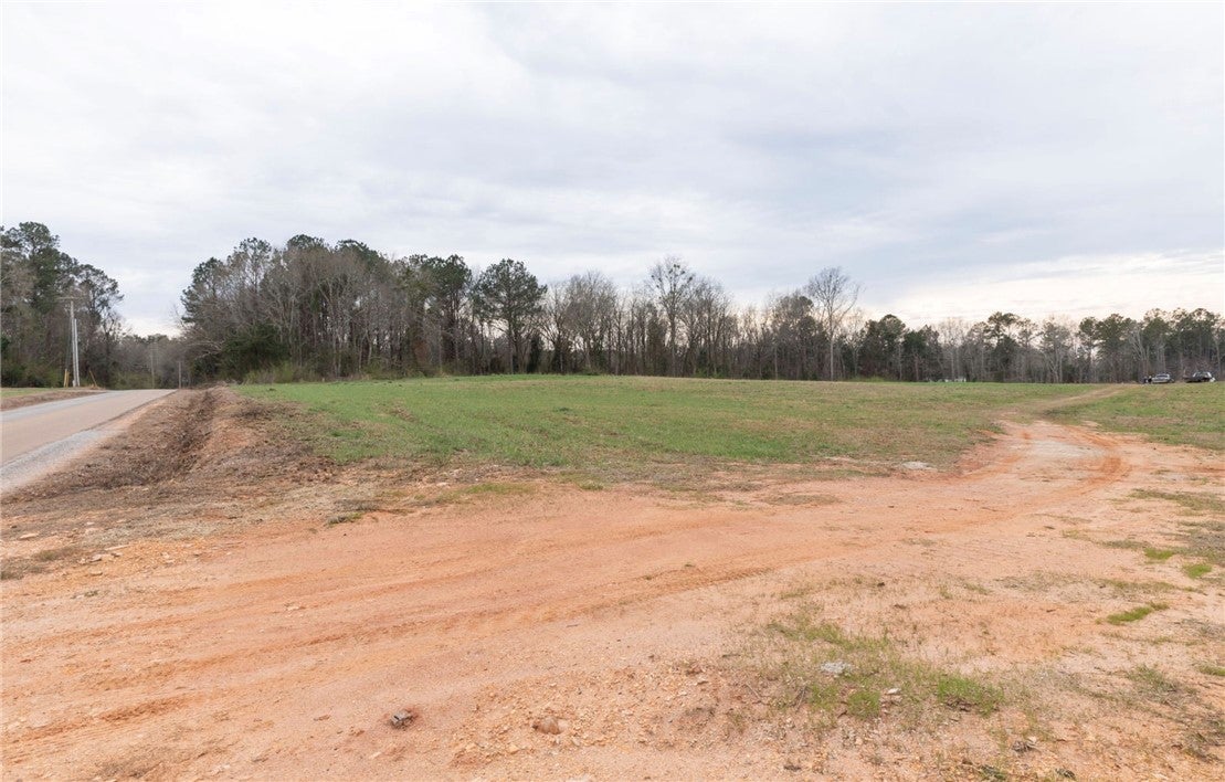 174 Allbrite Road Opelika, AL 36801 - Photo 5 of 8 Gallery Image 5